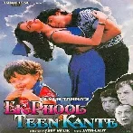 Ek Phool Teen Kaante (1997) Mp3 Songs