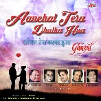Aanchal Tera Dhalka Hua (1991) Mp3 Songs