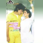 Ghar Mein Ram Gali Mein Shyam (1988) Mp3 Songs
