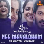 Chila Sundara Swakaryangal (2023) Malayalam Movie Mp3 Songs