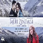 Meri Zindagi - Tulsi Kumar Video Song