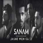 Jaane Woh Kaise - Sanam