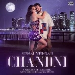 Chandni - Vishal Mishra
