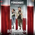 Belagaam - Mika Singh
