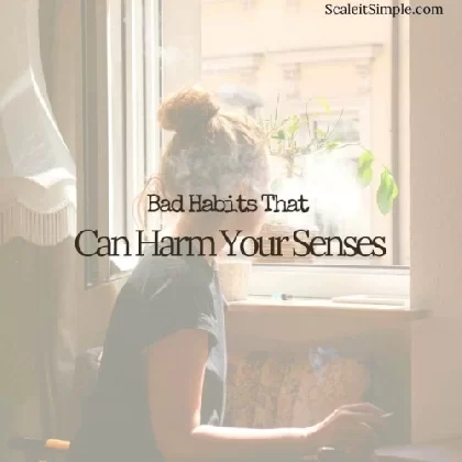 Sense - Bad Habits