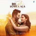 Dil Bhi Rone Laga - Kumar Sanu
