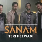 Teri Deewani - Sanam
