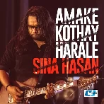 Amake Kothay Harale - Sina Hasan