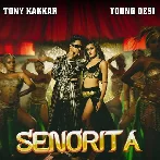Senorita - Tony Kakkar