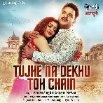 Tujhe Na Dekhu Toh Chain - Pawan Singh