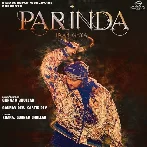 Parinda Paar Geya Title Track