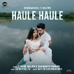Haule Haule - Shahid Mallya