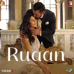 Ruaan (Tiger 3)
