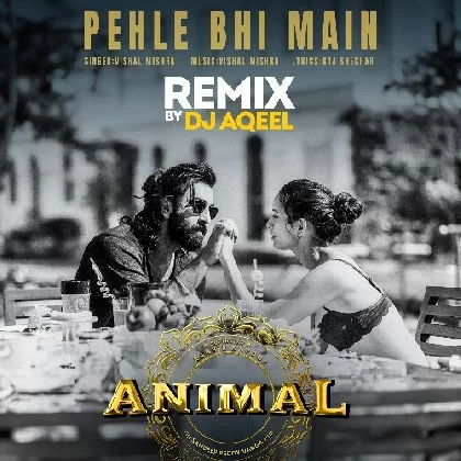 Pehle Bhi Main (Remix) DJ Aqeel